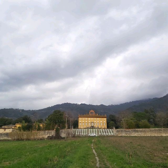 olive Palace in #Ponte A Moriano #Lucca 