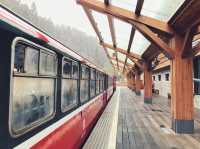阿里山森林風景區🚞 一起坐小火車走步道😍