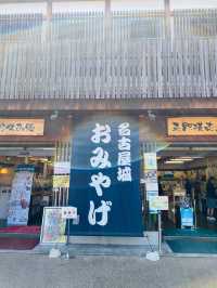 【名古屋】日本100名城に選定‼️なごやに来たらココ！