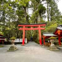 箱根神社の参道と武道場
