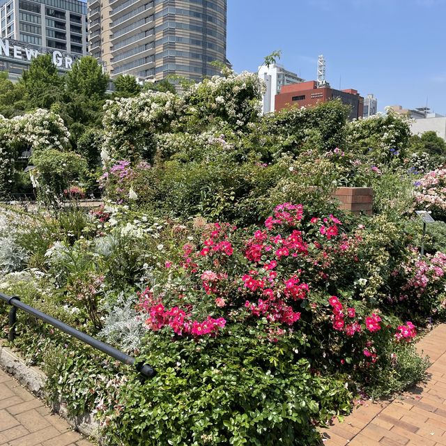 横浜の海の見える山下公園