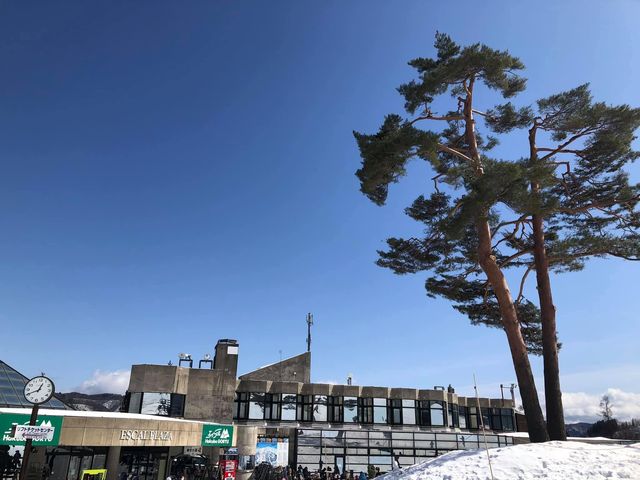 長野縣滑雪勝地｜白馬五龍滑雪場