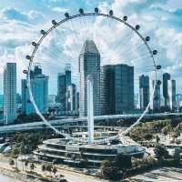 Pan Pacific Overlooking the Singapore Skyline