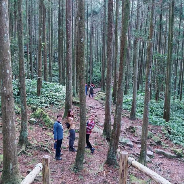 馬武督探索森林