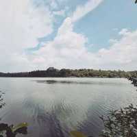 Scenic Walk to Bukit Timah Nature Reserve