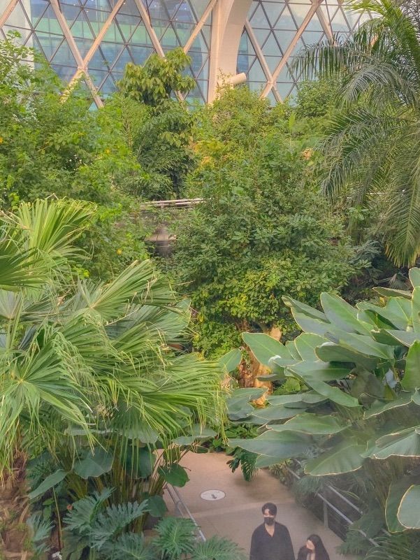 비 오는 날 즐기기 좋은 실내데이트, 서울식물원🌿