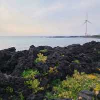 제주 월령리 해변