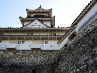 Kochi Castle 