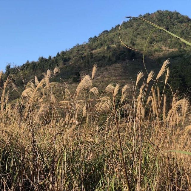 從化嘅溪頭村之旅