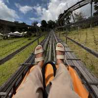 adventure กลางป่าบนม่อนแจ่ม
