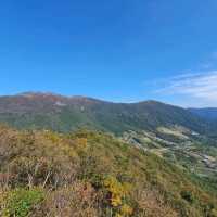 전라도 명품 단풍길