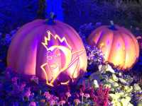 迪士尼詭趣花園🎃南瓜糖果處處尋🍭