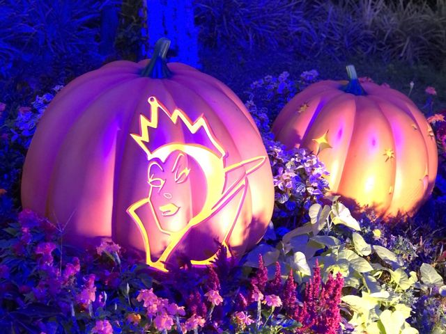 迪士尼詭趣花園🎃南瓜糖果處處尋🍭