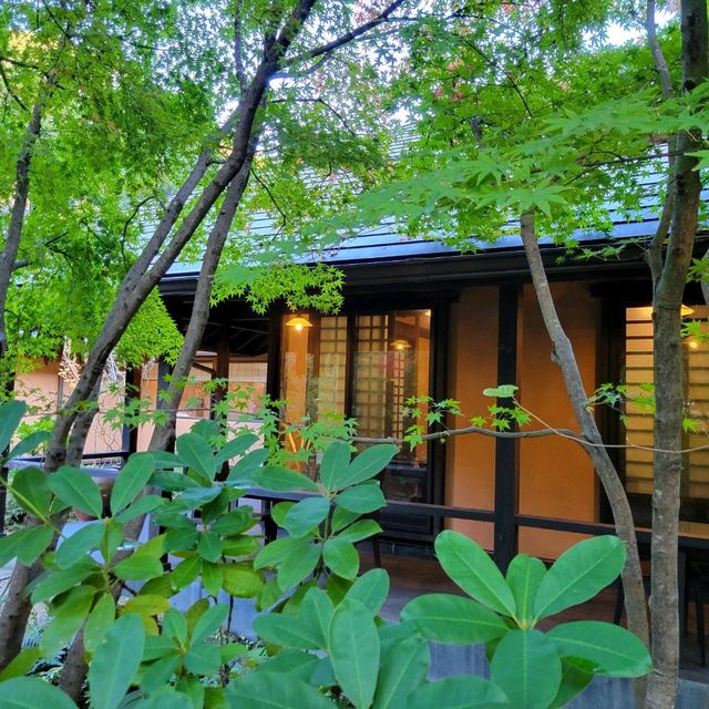 【森の中の温泉】箱根湯寮