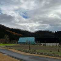 TSUTSUMIYA八藏🫶🏻享受新潟自然味道