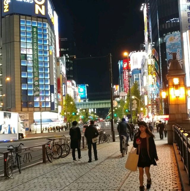 오타쿠들의 성지 아키하바라를 가보자