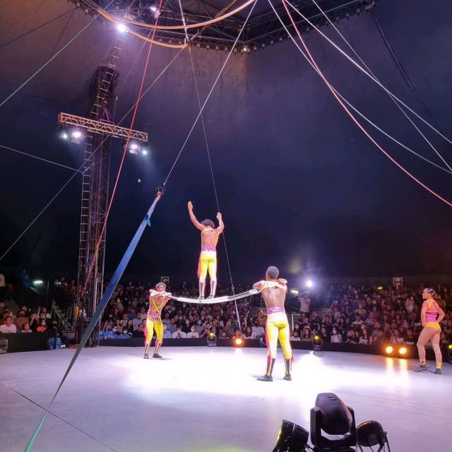Splendid, Spectacular, Encore!