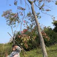  Hong Kong Wetland Park 