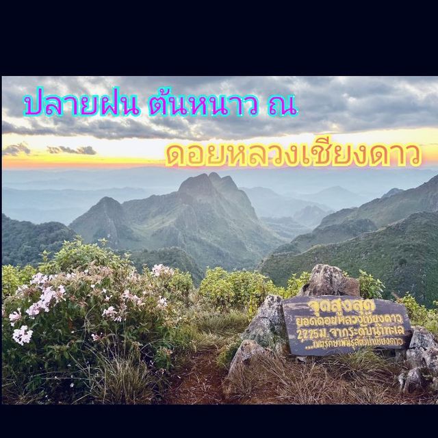 หนาวนี้ !! ที่ดอยหลวงเชียงดาว 🌞