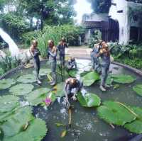 Art plus nature