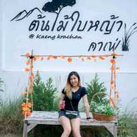 ต้นไม้ใบหญ้า Cafe' at แก่งกระจาน 🏕