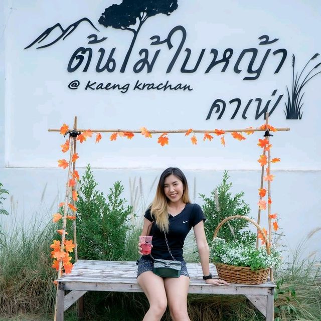 ต้นไม้ใบหญ้า Cafe' at แก่งกระจาน 🏕