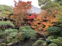 京都[紅葉めぐり]  永観堂(禅林寺)  圧巻の堂内編