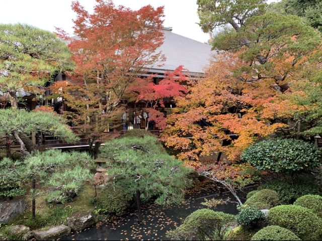 京都[紅葉めぐり]  永観堂(禅林寺)  圧巻の堂内編