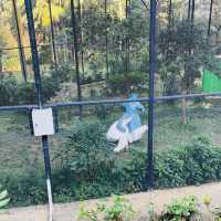 香港動植物公園150週年活動