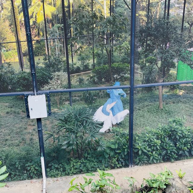 香港動植物公園150週年活動