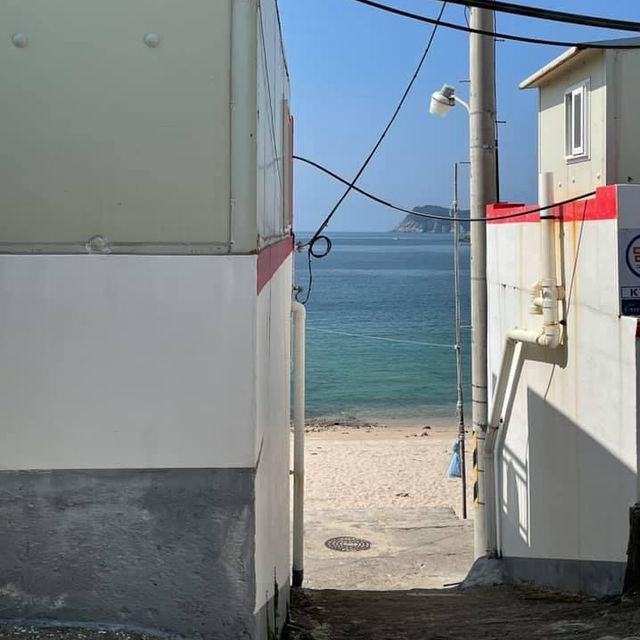 [남쪽의 작고 귀여운 섬 🏝]