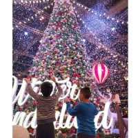 【Winter Wonderland】