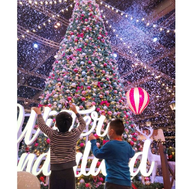 【Winter Wonderland】