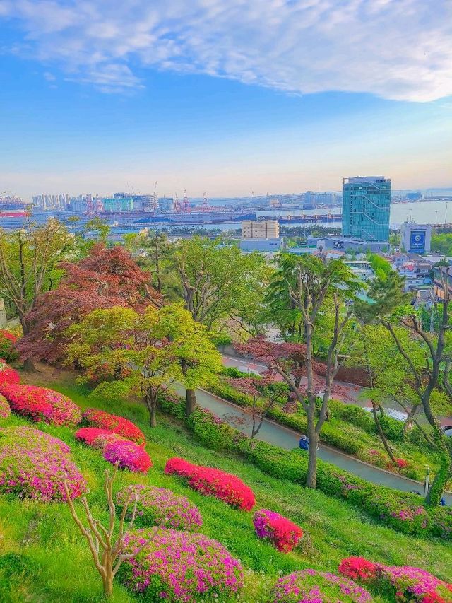인천 자유공원, 봄 나들이 장소로 추천