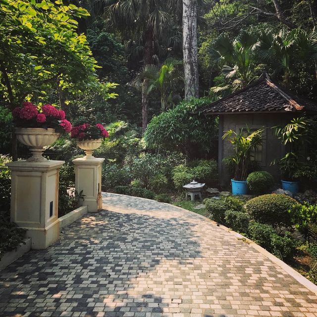 港島最高的空中花園