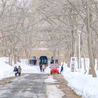 冬の北海道大学巡り