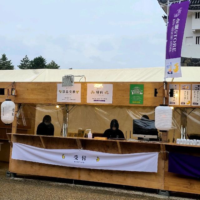 桜が見所🌸満開の特別史跡🏯【名古屋城】✨