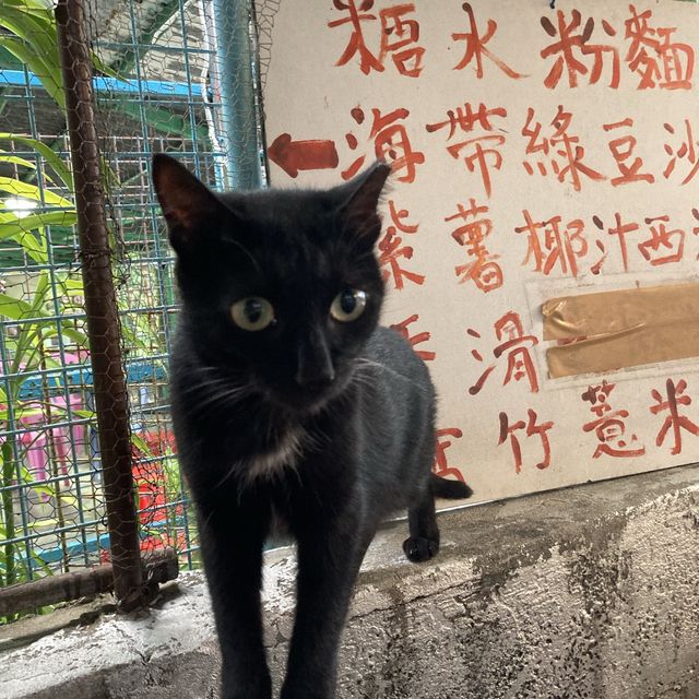 東龍島