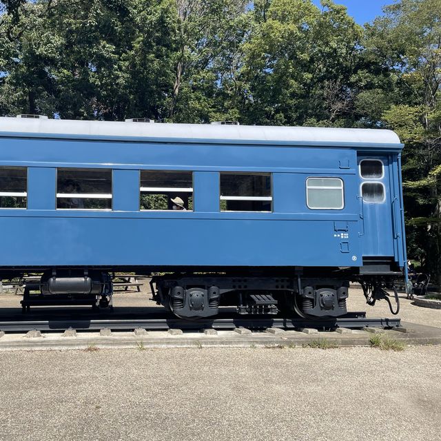 緑あふれる公園SLがあるよ！生田緑地