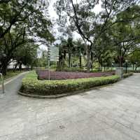 賞花好地方「蝴蝶灣公園」