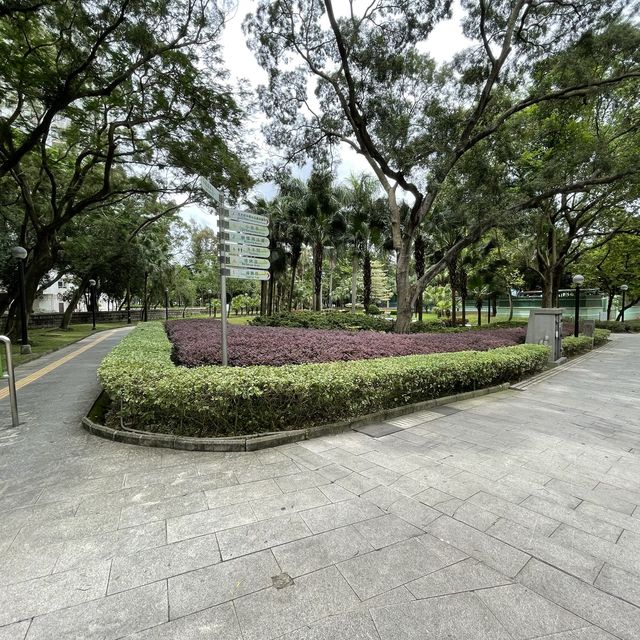 賞花好地方「蝴蝶灣公園」