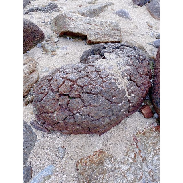 西貢，橋咀島！