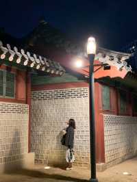 🌃밤에 더욱 빛나는 도심속 낭만 여행, 단돈 1000원에 즐기는 방법✨