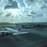 那覇空港を探索してみた