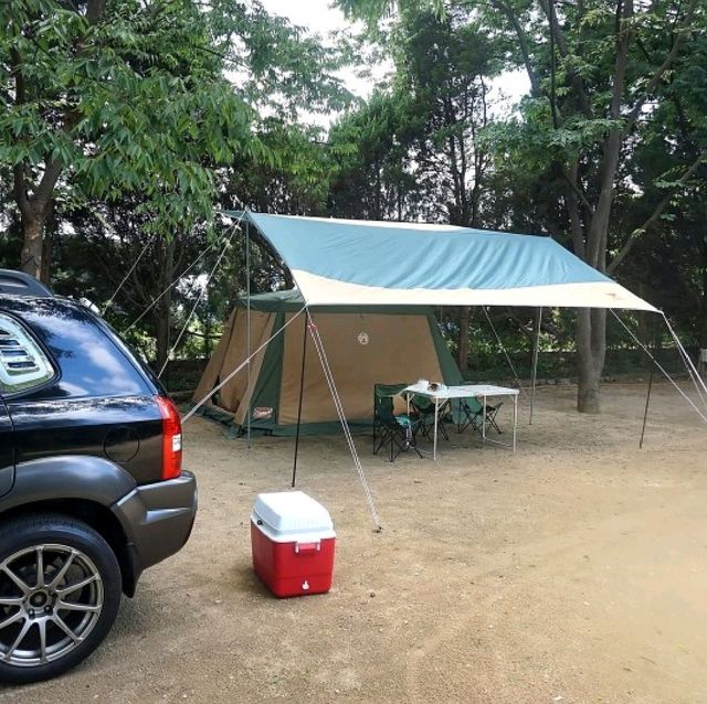 양주 캠핑장 추천 * 남경수목원캠핑장