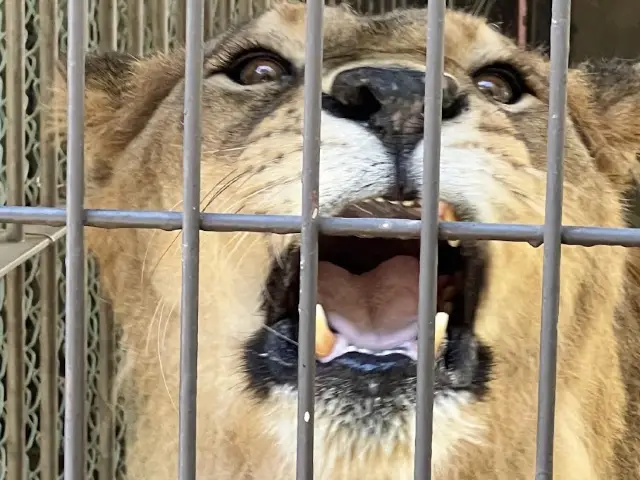 福岡市動物園