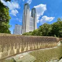 【新宿中央公園〜都会に広がる緑のオアシス〜】