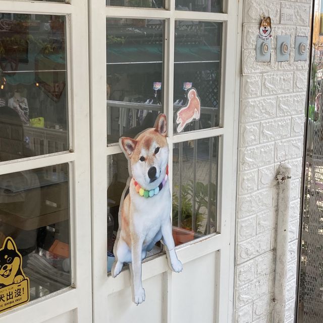 柴太郎咖啡店