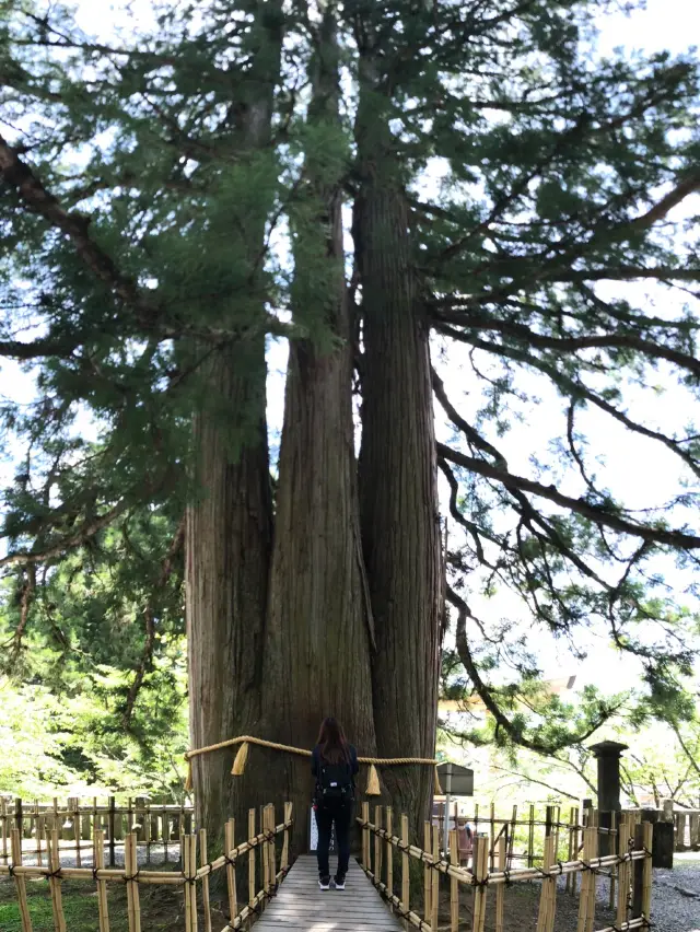 【長野・長野市】戸隠神社５社巡り③（2）