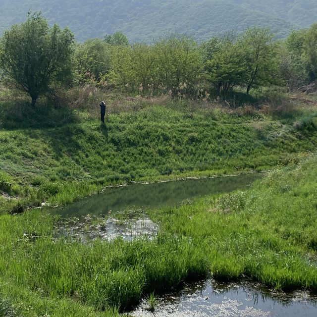 셀프웨딩, 캠핑 장소 추천! 양산 황산공원